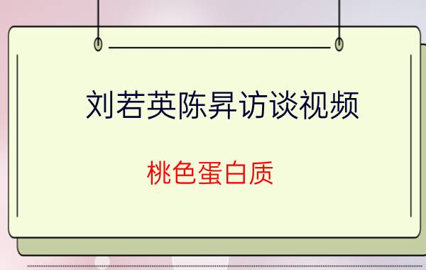 刘若英陈昇访谈视频（桃色蛋白质 刘若英）